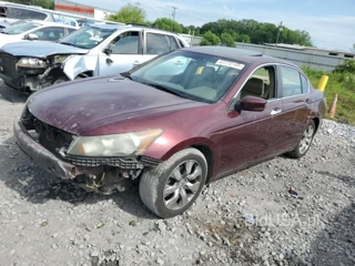 HONDA ACCORD EXL EXL