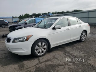 HONDA ACCORD EXL EXL