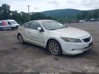 HONDA HONDA ACCORD 3.5 EX-L