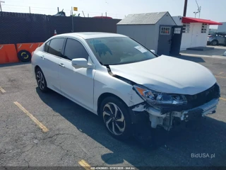 HONDA HONDA ACCORD EX-L V6