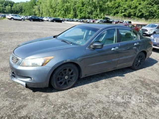 HONDA ACCORD EXL EXL