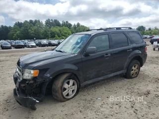FORD ESCAPE XLT XLT