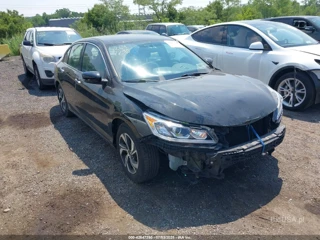 HONDA HONDA ACCORD LX