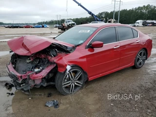 HONDA ACCORD SPO SPORT SPECIAL EDITION