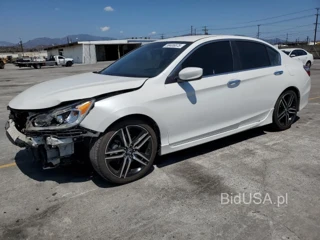 HONDA ACCORD SPO SPORT