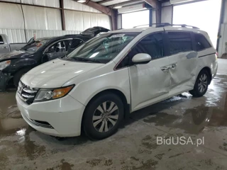 HONDA ODYSSEY EX EX