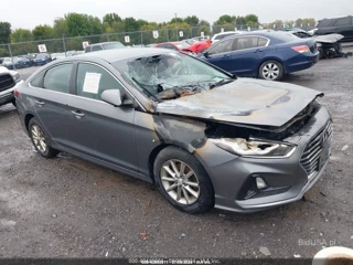 HYUNDAI HYUNDAI SONATA ECO
