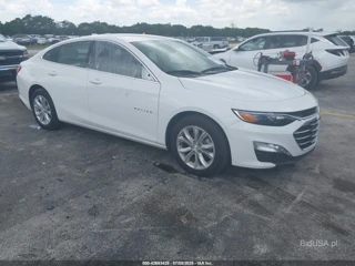 CHEVROLET CHEVROLET MALIBU FWD 1LT