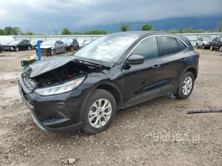 FORD ESCAPE ACT ACTIVE