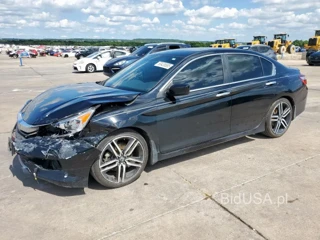 HONDA ACCORD SPO SPORT