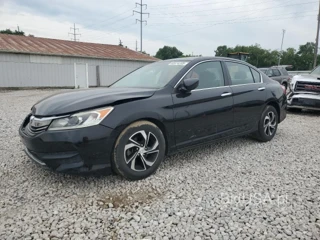 HONDA ACCORD LX LX