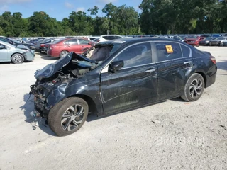 HONDA ACCORD LX LX