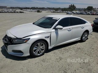 HONDA ACCORD LX LX