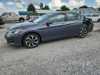 HONDA ACCORD EXL EXL