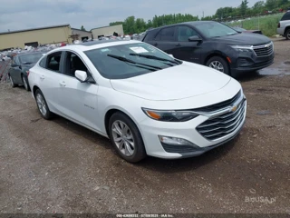 CHEVROLET CHEVROLET MALIBU FWD 1LT