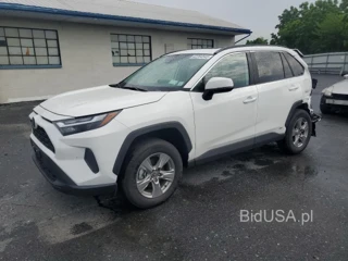 TOYOTA RAV4 XLE XLE