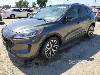 FORD ESCAPE SE SE SPORT