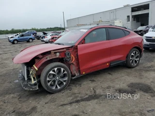FORD MUSTANG MA PREMIUM