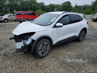FORD ESCAPE SEL SEL