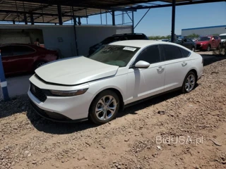 HONDA ACCORD LX LX
