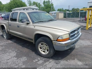 DODGE DODGE DAKOTA SLT