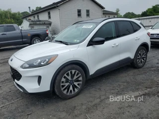 FORD ESCAPE SE SE SPORT