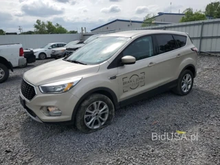 FORD ESCAPE SE SE