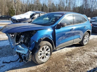 FORD ESCAPE ACT ACTIVE