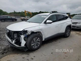 HYUNDAI TUCSON BLU BLUE