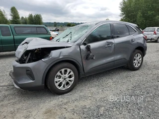 FORD ESCAPE ACT ACTIVE