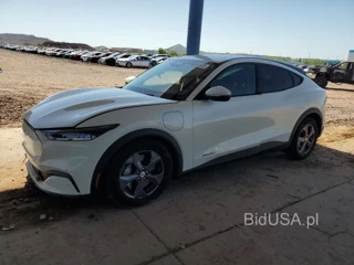 FORD MUSTANG MA SELECT