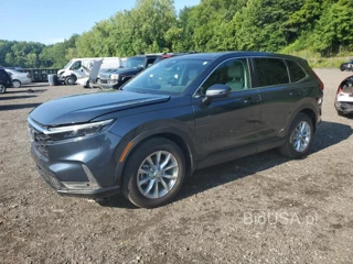 HONDA CR-V EX EX