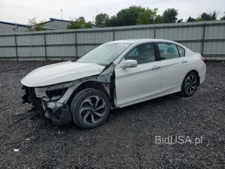 HONDA ACCORD EXL EXL