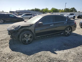 HONDA ACCORD SPO SPORT