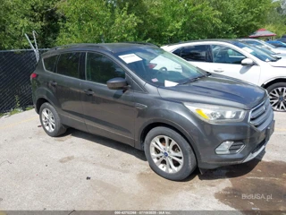 FORD FORD ESCAPE SE
