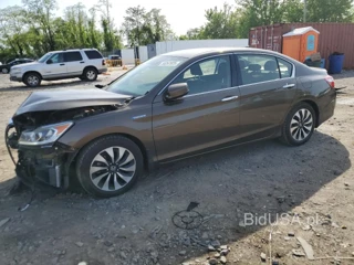 HONDA ACCORD HYB HYBRID