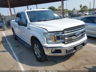 FORD FORD F-150 XLT