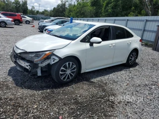 TOYOTA COROLLA LE LE