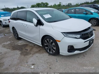 HONDA HONDA ODYSSEY ELITE