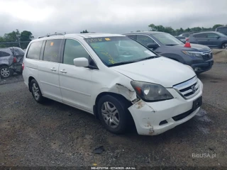 HONDA HONDA ODYSSEY EX-L