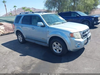 FORD FORD ESCAPE HYBRID