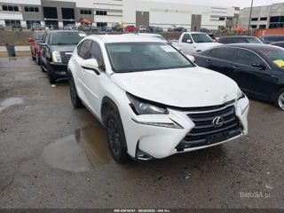 LEXUS LEXUS NX NX TURBO