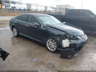 LEXUS LEXUS ES 350