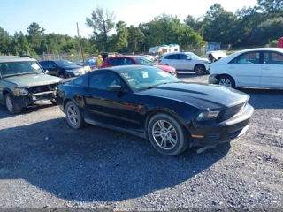 FORD FORD MUSTANG V6