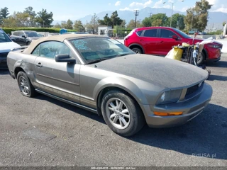 FORD FORD MUSTANG