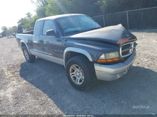 DODGE DODGE DAKOTA SLT