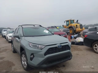 TOYOTA TOYOTA RAV4 HYBRID XLE