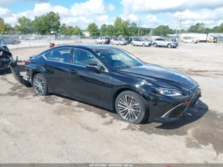 LEXUS LEXUS ES 350