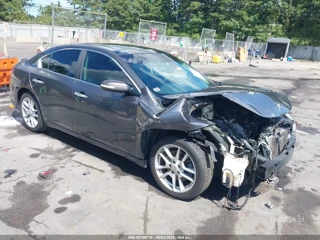 NISSAN NISSAN MAXIMA 3.5 SV