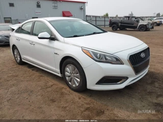 HYUNDAI HYUNDAI SONATA HYBRID SE